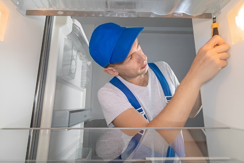 Refrigerator repair in Lomita